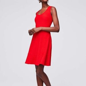 LOFT Eyelet Dress